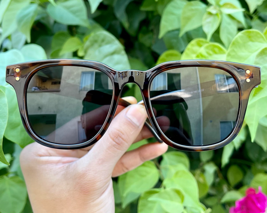iiii co. sunnies #2155