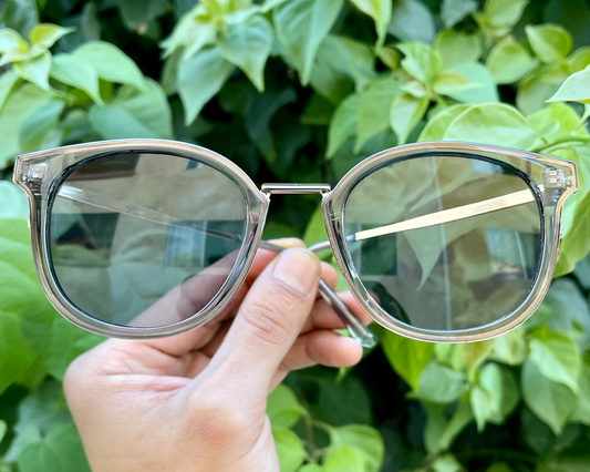 iiii co. sunnies #86189